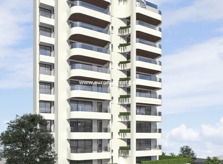 Nueva construcción  - ground-floor - Guardamar del Segura