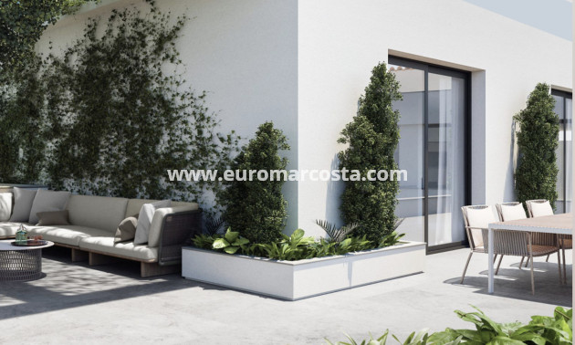 Nueva construcción  - Ático - Torrevieja - TORREVIEJA