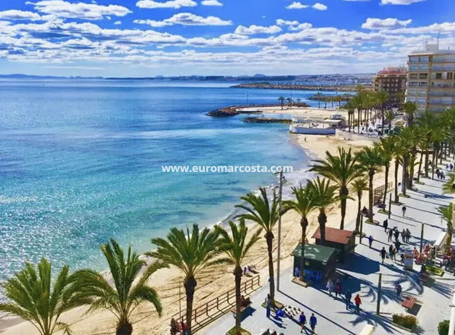Nueva construcción  - Ático - Torrevieja - TORREVIEJA