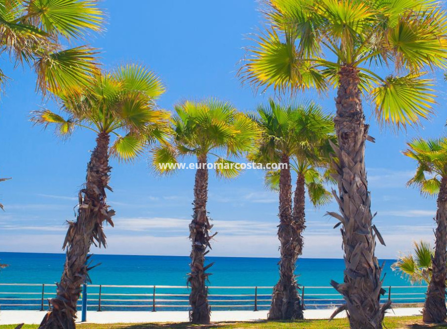 New Build - terraced - Orihuela Costa