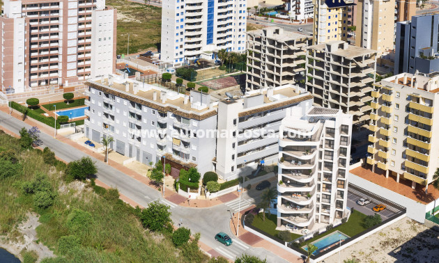Nueva construcción  - Ático - Guardamar del Segura