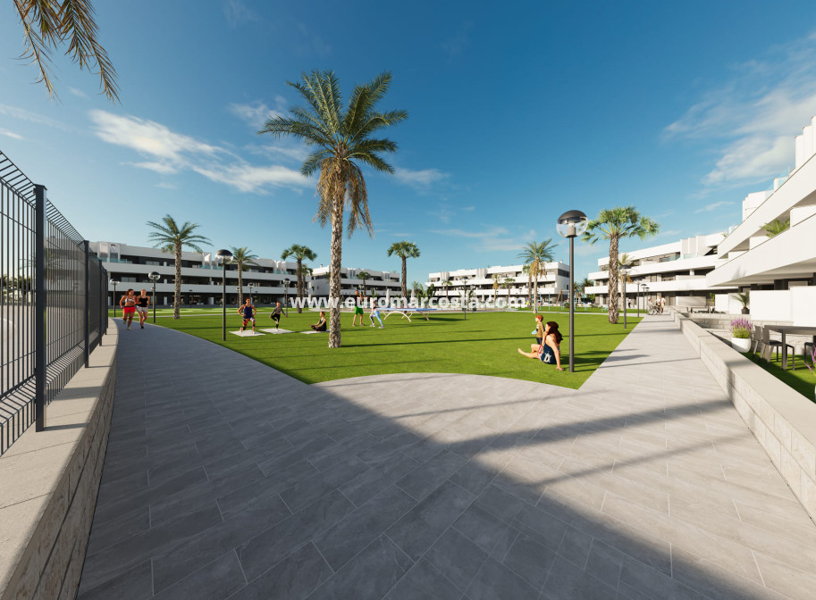 Nueva construcción  - ground-floor - Guardamar del Segura