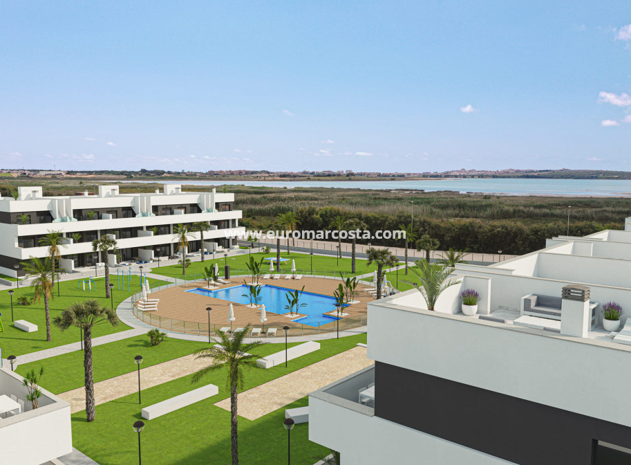 Nueva construcción  - Apartamento / piso - Guardamar del Segura