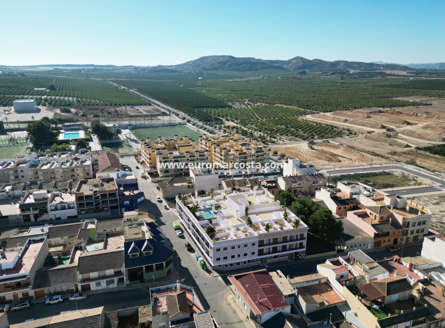 Nueva construcción  - ground-floor - Algorfa