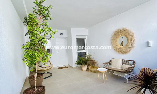 Nueva construcción  - low-bungalow - Pilar de la Horadada