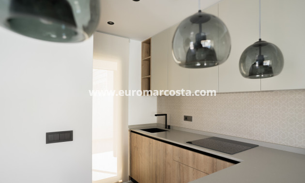 Nueva construcción  - detached - San Miguel de Salinas