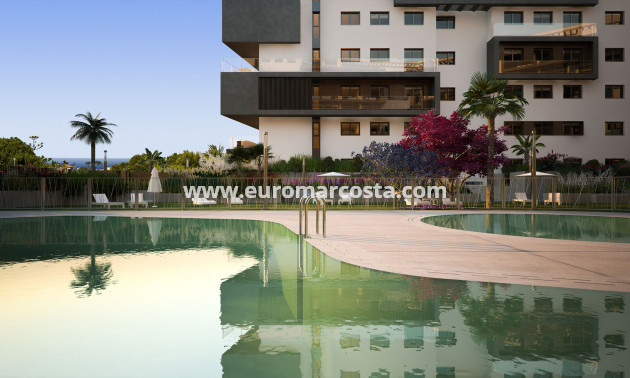New Build - Penthouse - Orihuela Costa