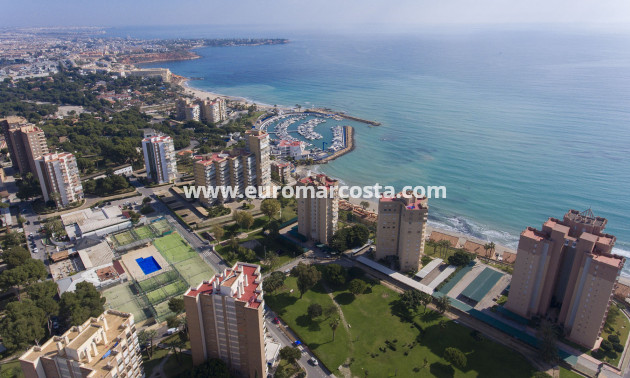 New Build - Penthouse - Orihuela Costa