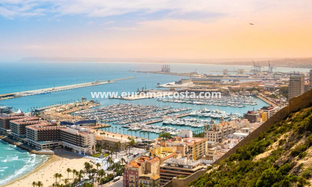 Nueva construcción  - detached - Muchamiel - Alicante