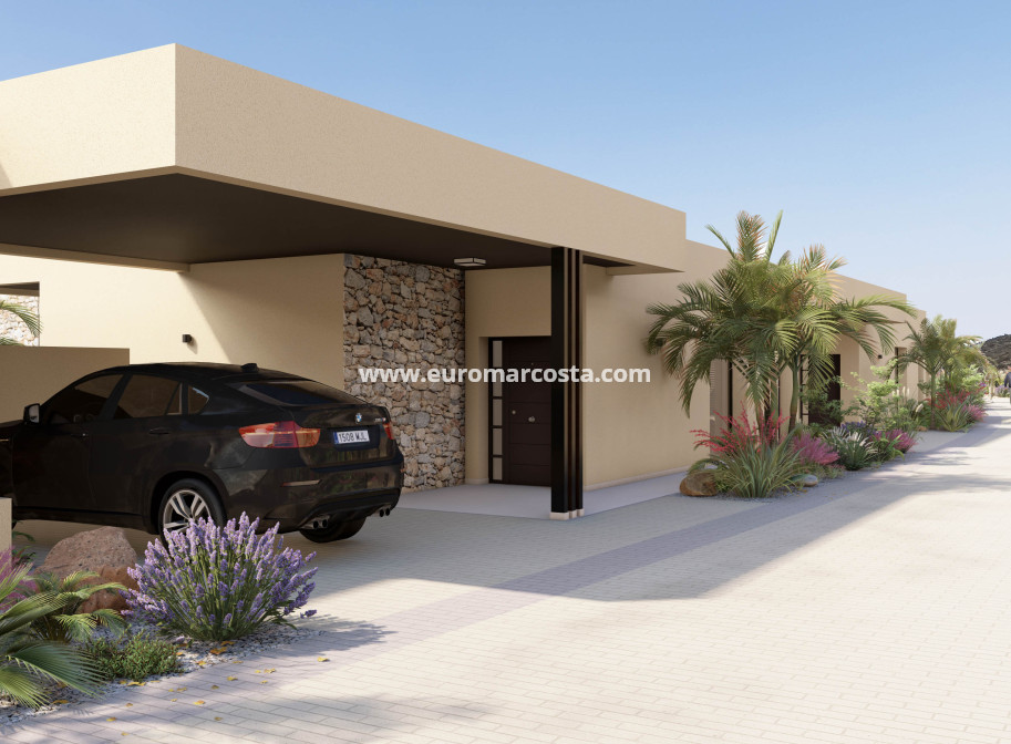 Nueva construcción  - detached - Murcia