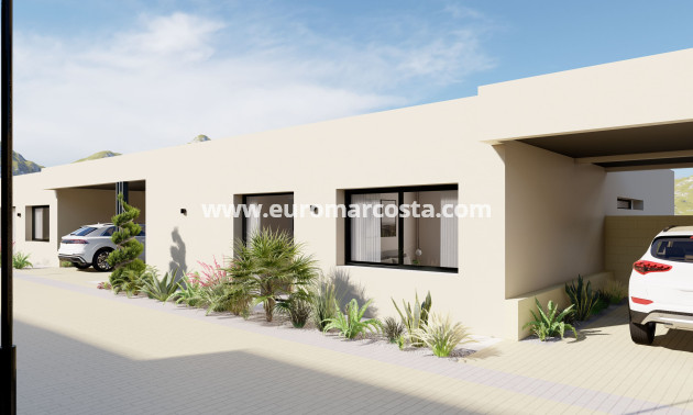Nueva construcción  - detached - Murcia