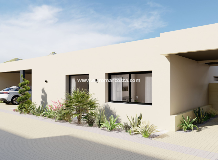 Nueva construcción  - detached - Murcia