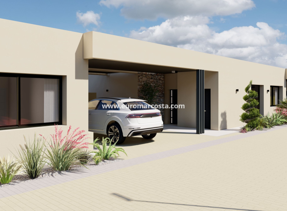 Nueva construcción  - detached - Murcia