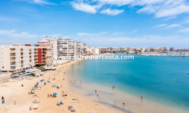 Nueva construcción  - ground-floor - Torrevieja - TORREVIEJA