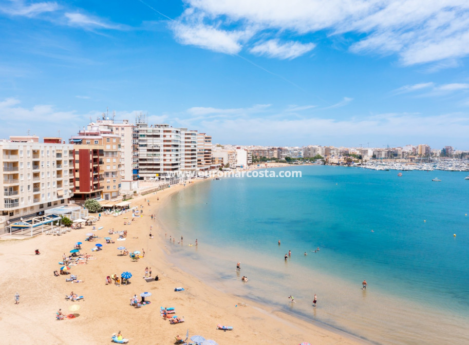 Nueva construcción  - ground-floor - Torrevieja - TORREVIEJA