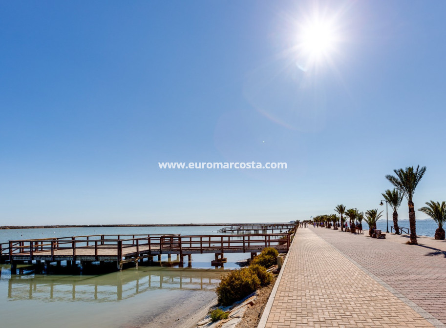 New Build - detached - Pilar de la Horadada