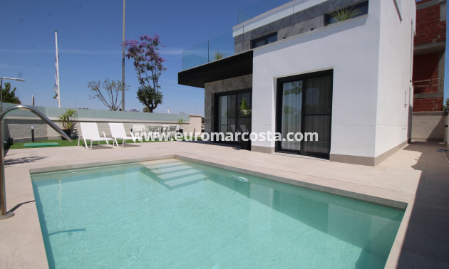 Nueva construcción  - detached - Pilar de la Horadada