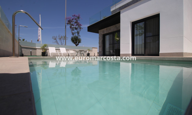 Nueva construcción  - detached - Pilar de la Horadada