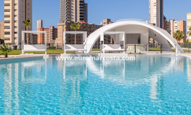 New Build - Apartment / flat - Benidorm