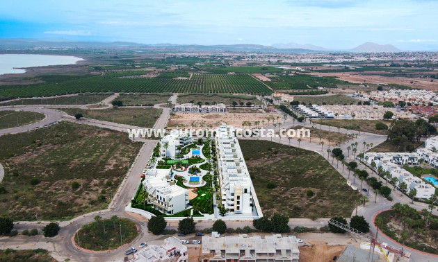 Nueva construcción  - Apartamento / piso - Guardamar del Segura
