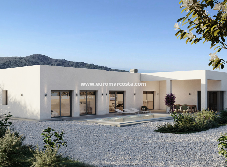Nueva construcción  - detached - Pinoso