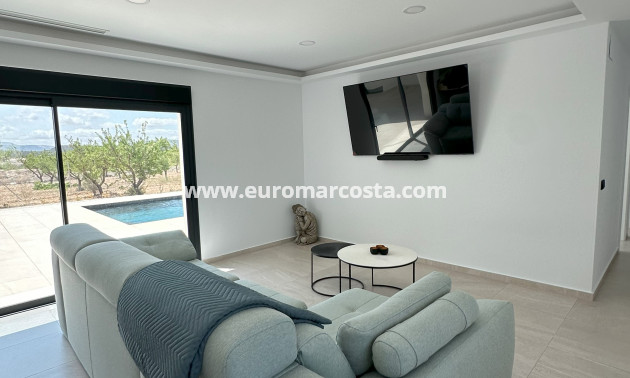 Nueva construcción  - detached - Pinoso