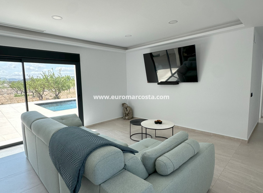 Nueva construcción  - detached - Pinoso