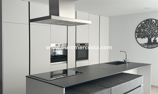 Nueva construcción  - detached - Pinoso