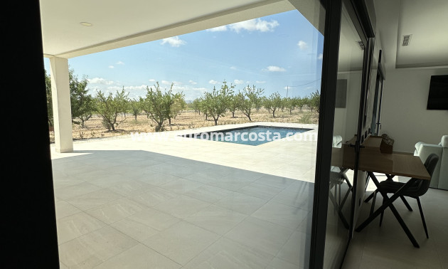 Nueva construcción  - detached - Pinoso