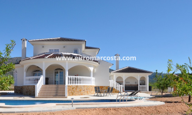 Nueva construcción  - detached - Pinoso