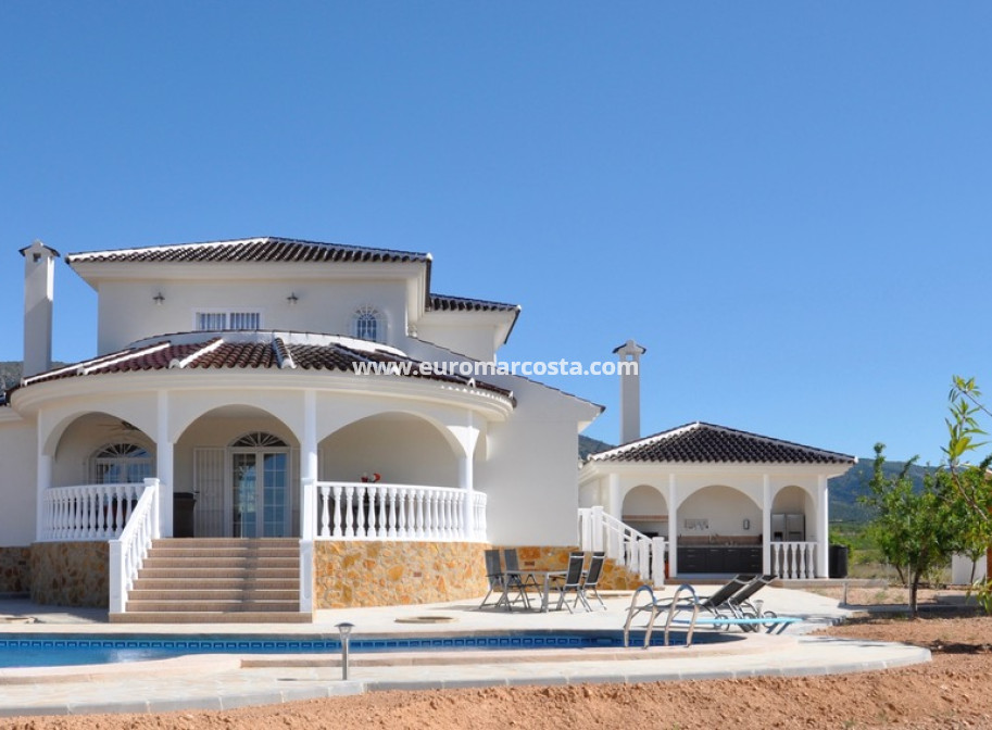 Nueva construcción  - detached - Pinoso