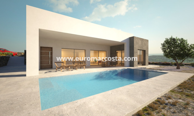 Nueva construcción  - detached - Pinoso