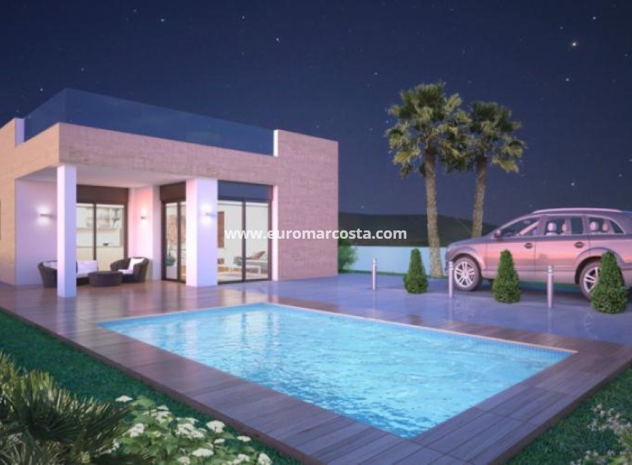 Nueva construcción  - detached - Pinoso