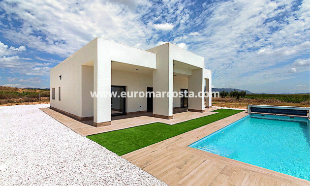 Nueva construcción  - detached - Pinoso