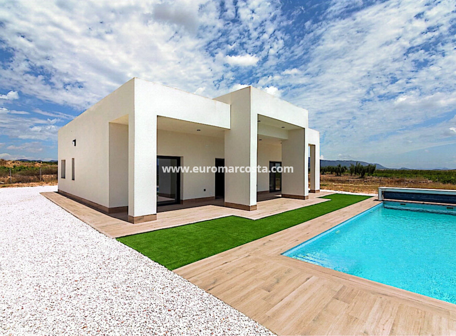 Nueva construcción  - detached - Pinoso