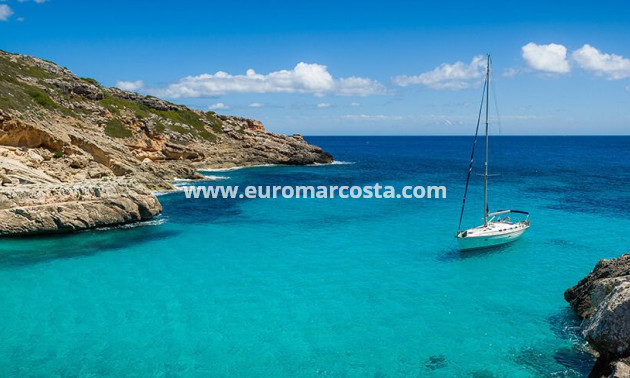 New Build - low-bungalow - San Miguel de Salinas