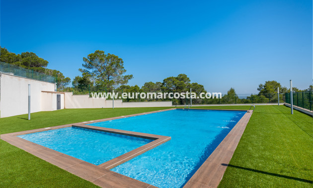 New Build - low-bungalow - San Miguel de Salinas