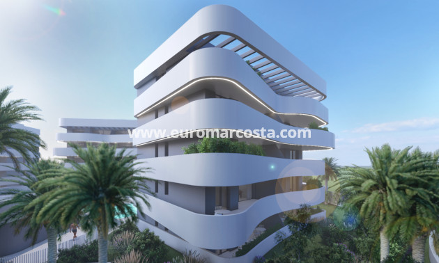 Nueva construcción  - Apartamento / piso - Guardamar del Segura