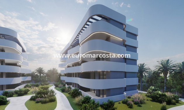 Nueva construcción  - Apartamento / piso - Guardamar del Segura