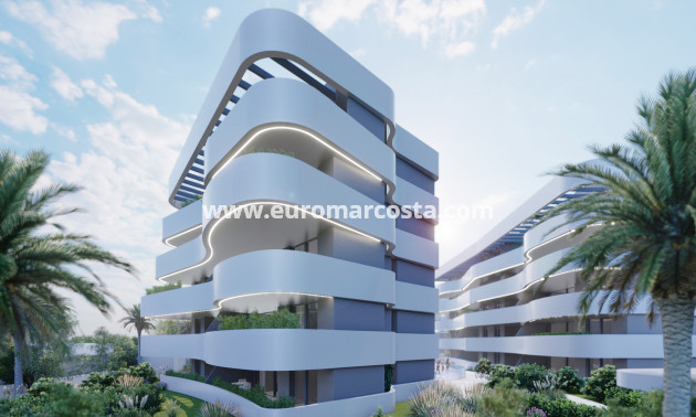 Nueva construcción  - Apartamento / piso - Guardamar del Segura