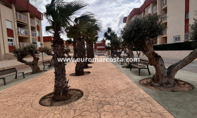 New Build - ground-floor - Orihuela Costa