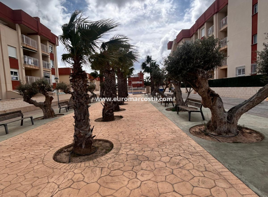 New Build - ground-floor - Orihuela Costa