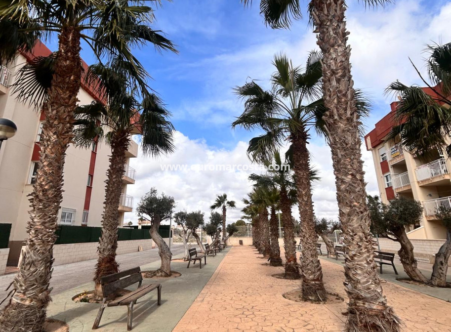New Build - ground-floor - Orihuela Costa