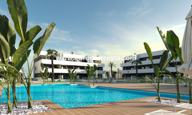 New Build - ground-floor - Guardamar del Segura