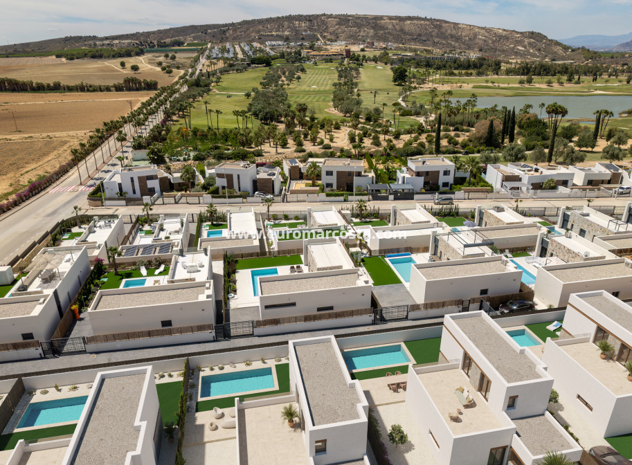 Nueva construcción  - detached - Algorfa