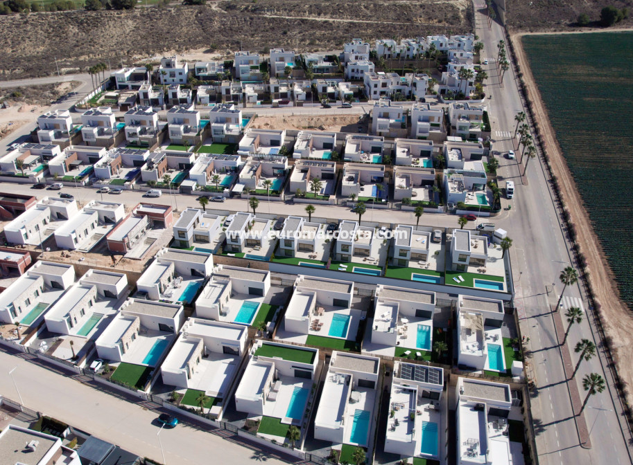 Nueva construcción  - detached - Algorfa