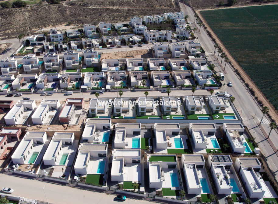 Nueva construcción  - detached - Algorfa