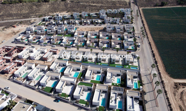 Nueva construcción  - detached - Algorfa