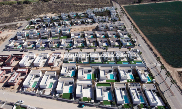 Nueva construcción  - detached - Algorfa