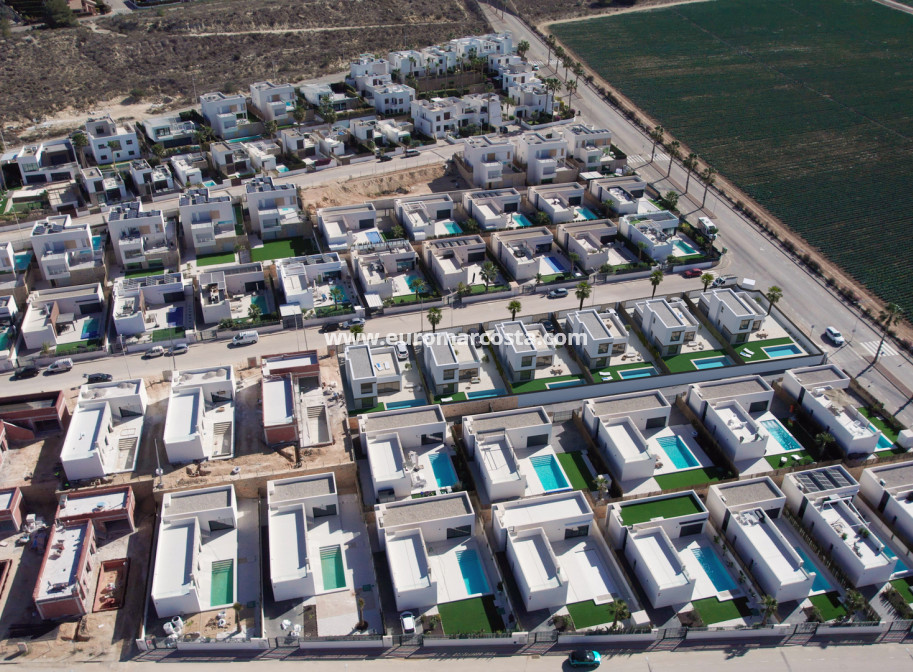 Nueva construcción  - detached - Algorfa